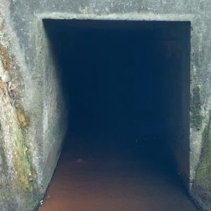 Meet your Posher, Chad